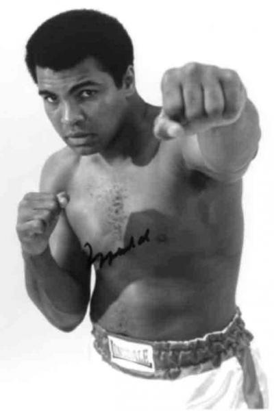 brucelee maroc klay
